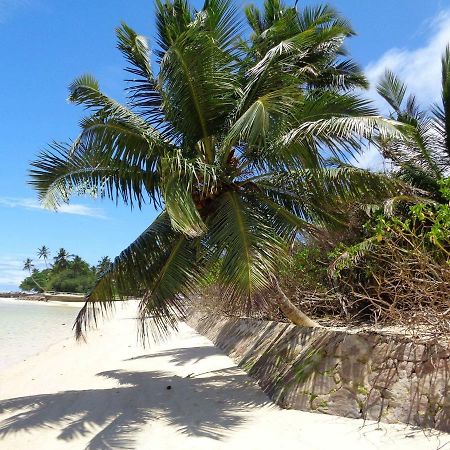 Hcs Bungalows Turtle Bay Rustic Bungalow Au Cap Exteriér fotografie