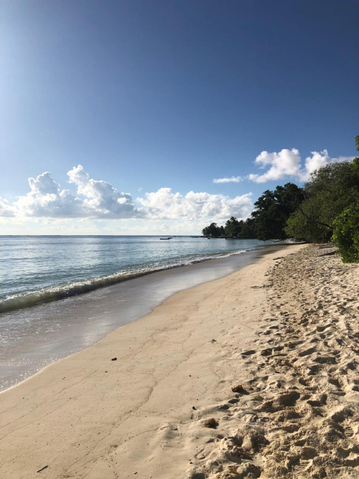 Hcs Bungalows Turtle Bay Rustic Bungalow Au Cap Exteriér fotografie