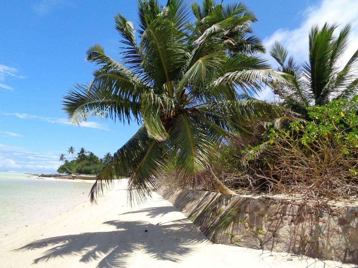 Hcs Bungalows Turtle Bay Rustic Bungalow Au Cap Exteriér fotografie